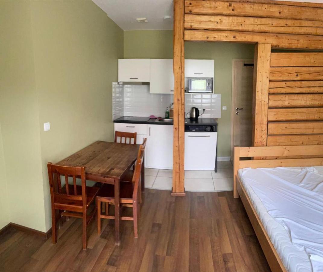 Appartement Sniezka à Duszniki Zdrój Extérieur photo