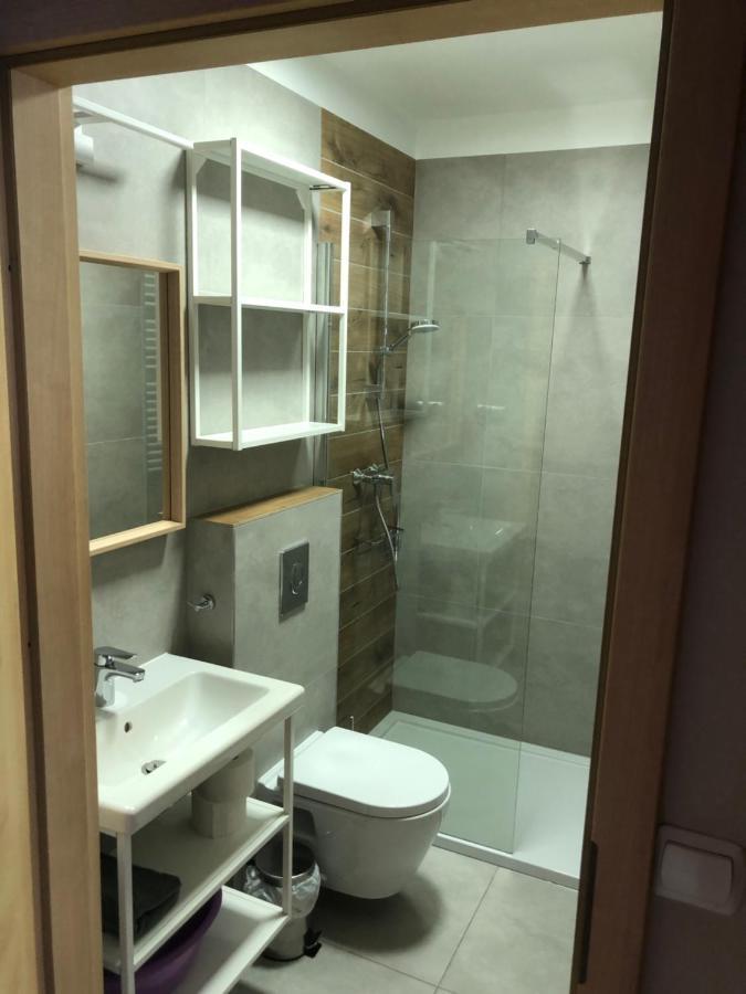 Appartement Sniezka à Duszniki Zdrój Extérieur photo